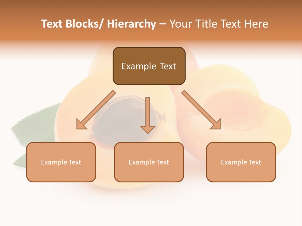 Stone Vitamin Health PowerPoint Template