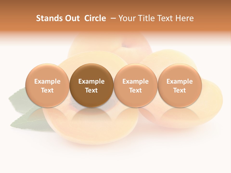 Stone Vitamin Health PowerPoint Template