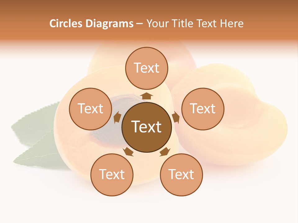 Stone Vitamin Health PowerPoint Template