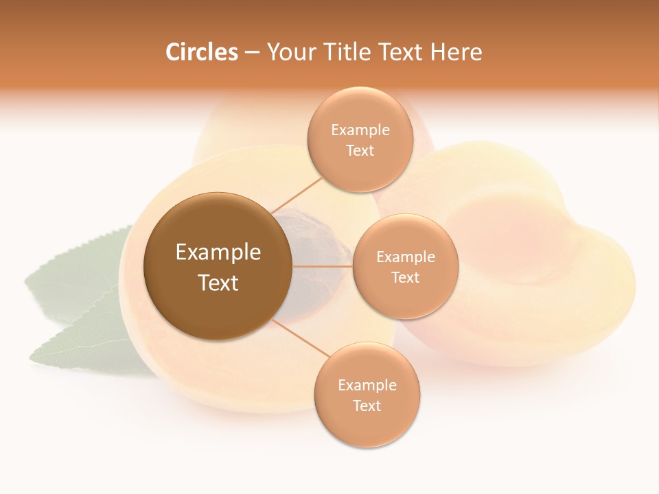 Stone Vitamin Health PowerPoint Template