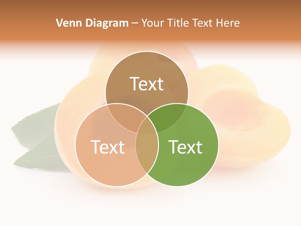 Stone Vitamin Health PowerPoint Template