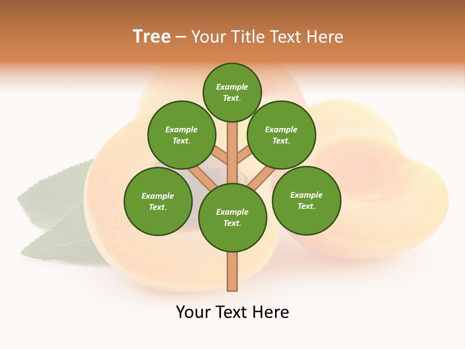 Stone Vitamin Health PowerPoint Template