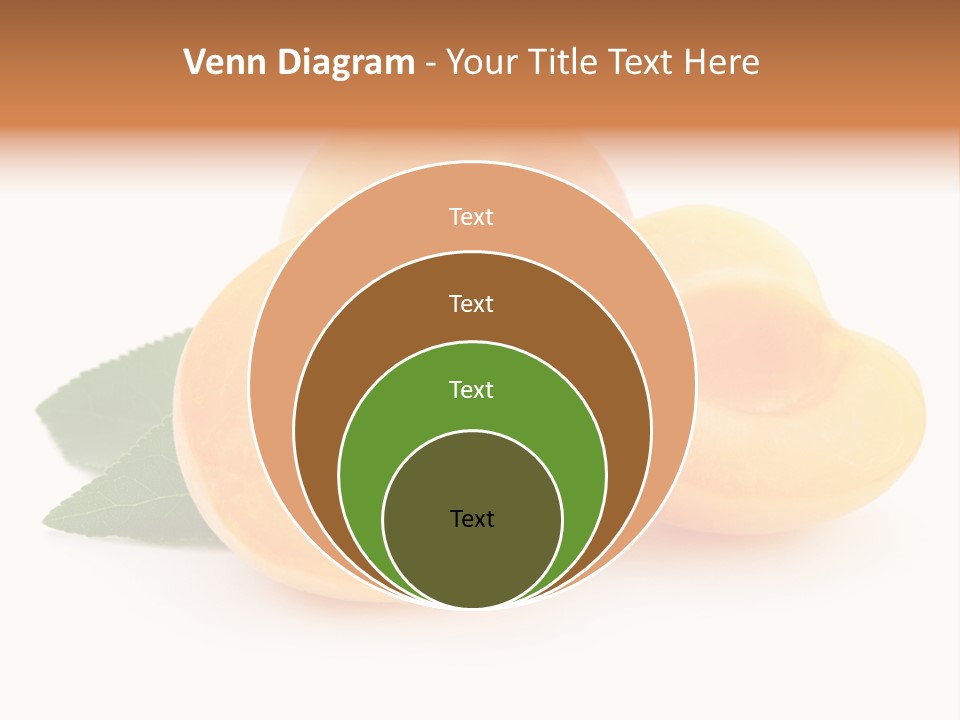 Stone Vitamin Health PowerPoint Template