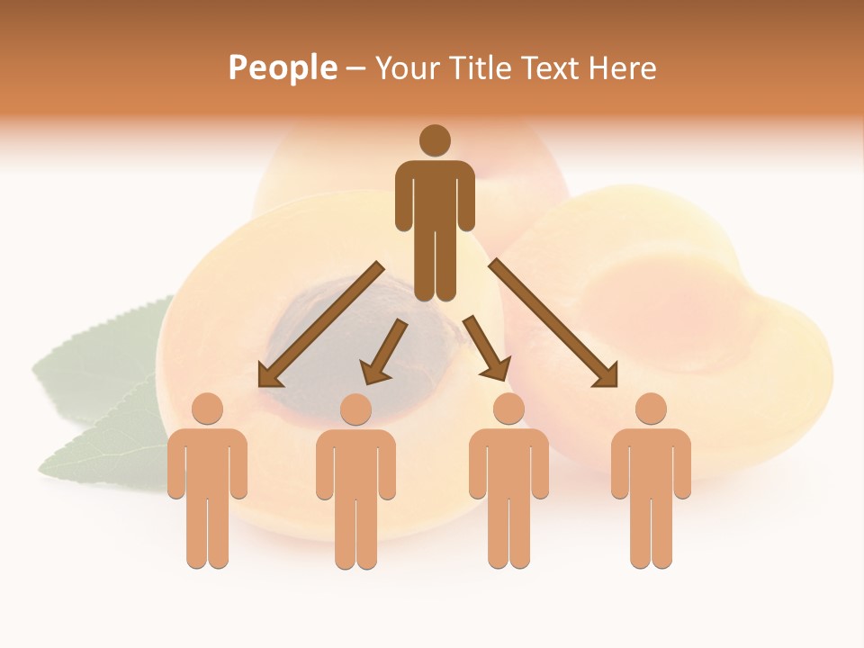 Stone Vitamin Health PowerPoint Template