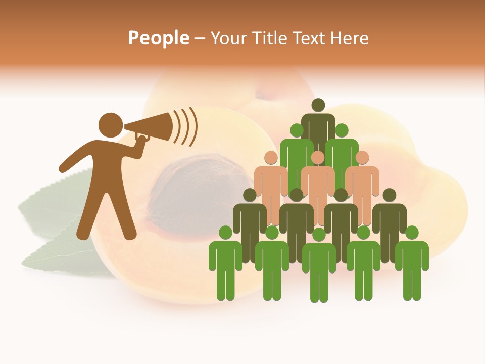 Stone Vitamin Health PowerPoint Template