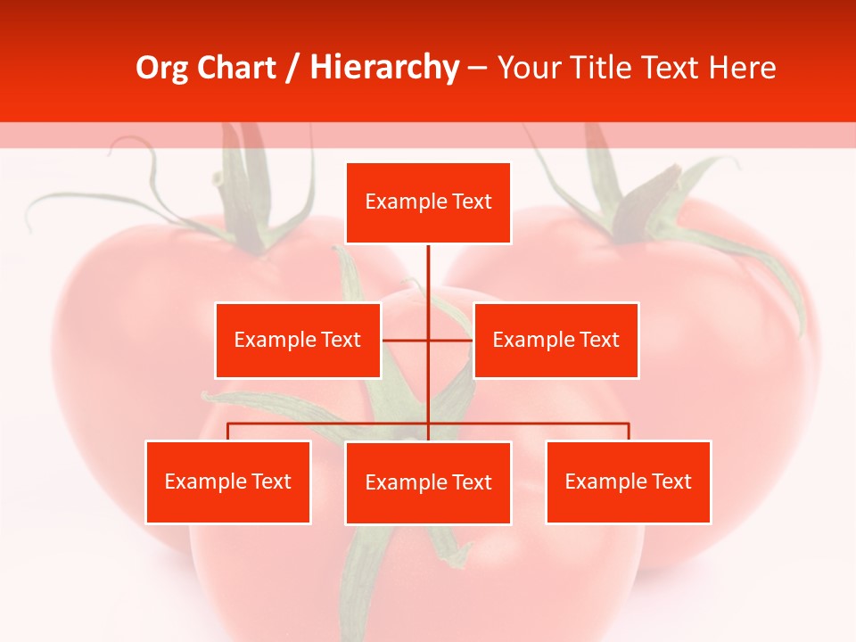 Path Simple Bright PowerPoint Template