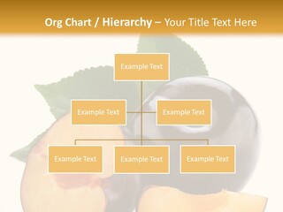 Berry Delicious Blue PowerPoint Template