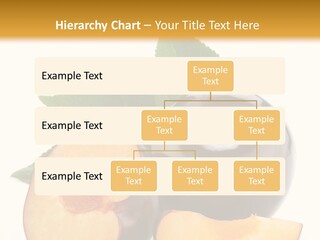 Berry Delicious Blue PowerPoint Template