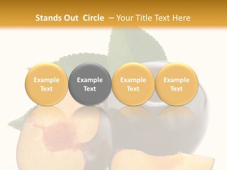 Berry Delicious Blue PowerPoint Template