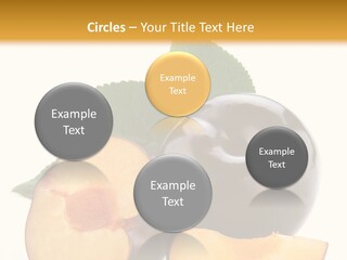 Berry Delicious Blue PowerPoint Template