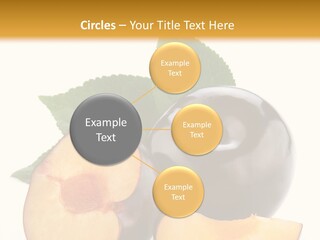 Berry Delicious Blue PowerPoint Template