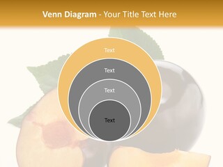 Berry Delicious Blue PowerPoint Template