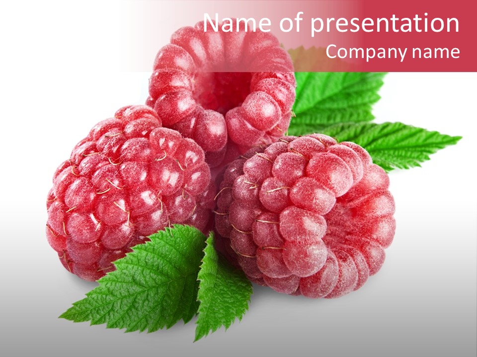 Isolated Ingredient Lush PowerPoint Template