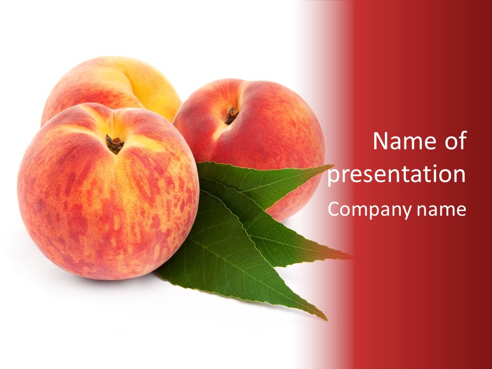 Vegetarian Isolated Vitamins PowerPoint Template