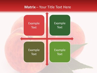 Vegetarian Isolated Vitamins PowerPoint Template