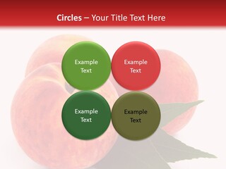Vegetarian Isolated Vitamins PowerPoint Template