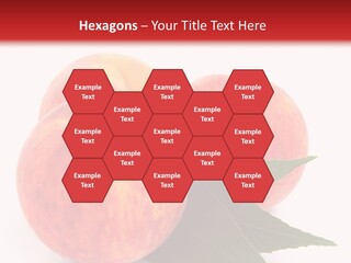 Vegetarian Isolated Vitamins PowerPoint Template