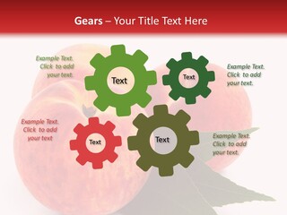 Vegetarian Isolated Vitamins PowerPoint Template