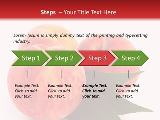 Vegetarian Isolated Vitamins PowerPoint Template