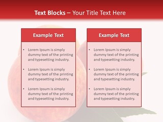 Vegetarian Isolated Vitamins PowerPoint Template