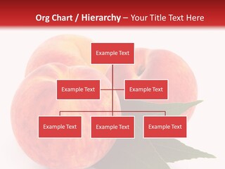 Vegetarian Isolated Vitamins PowerPoint Template