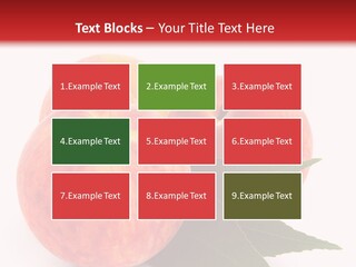Vegetarian Isolated Vitamins PowerPoint Template