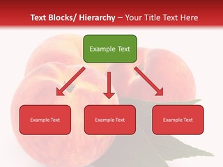 Vegetarian Isolated Vitamins PowerPoint Template