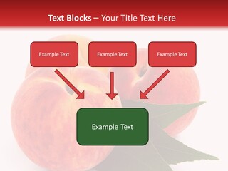 Vegetarian Isolated Vitamins PowerPoint Template