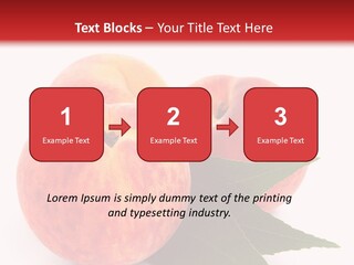 Vegetarian Isolated Vitamins PowerPoint Template