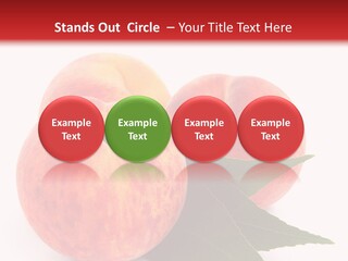 Vegetarian Isolated Vitamins PowerPoint Template