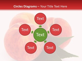 Vegetarian Isolated Vitamins PowerPoint Template