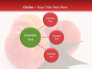 Vegetarian Isolated Vitamins PowerPoint Template