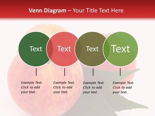 Vegetarian Isolated Vitamins PowerPoint Template
