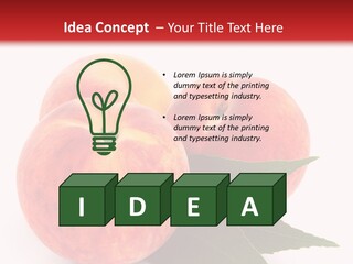 Vegetarian Isolated Vitamins PowerPoint Template