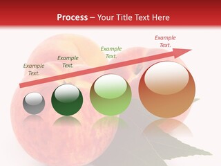 Vegetarian Isolated Vitamins PowerPoint Template