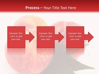 Vegetarian Isolated Vitamins PowerPoint Template