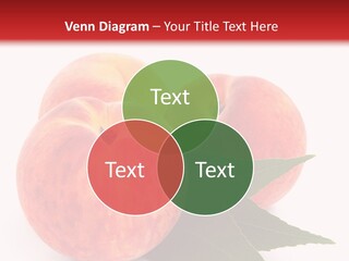 Vegetarian Isolated Vitamins PowerPoint Template