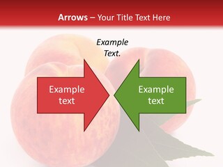 Vegetarian Isolated Vitamins PowerPoint Template