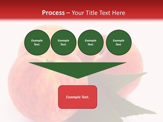 Vegetarian Isolated Vitamins PowerPoint Template