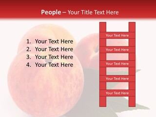 Vegetarian Isolated Vitamins PowerPoint Template