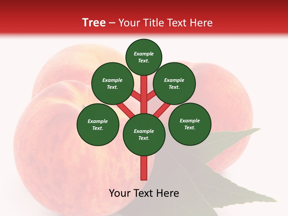 Vegetarian Isolated Vitamins PowerPoint Template