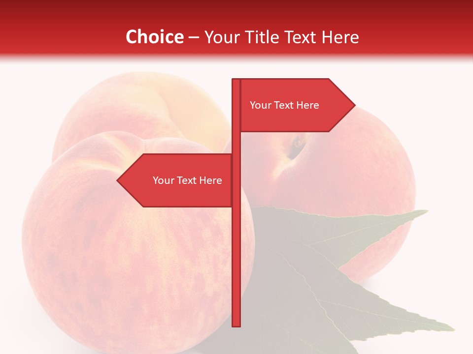 Vegetarian Isolated Vitamins PowerPoint Template