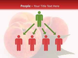 Vegetarian Isolated Vitamins PowerPoint Template