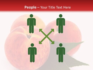 Vegetarian Isolated Vitamins PowerPoint Template