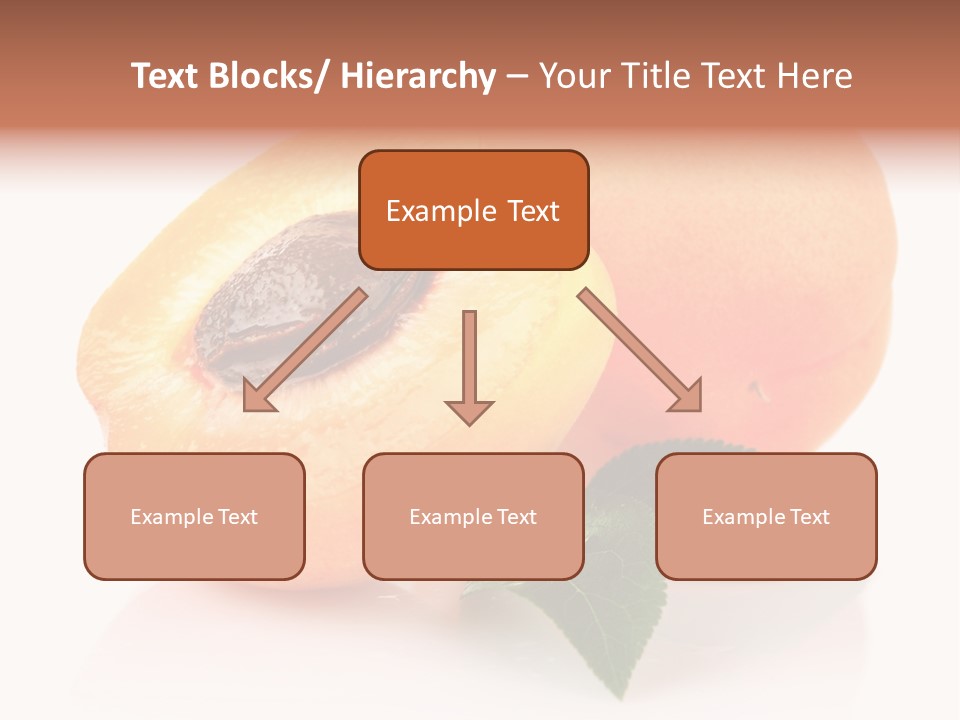 Composition Fruit Plant PowerPoint Template