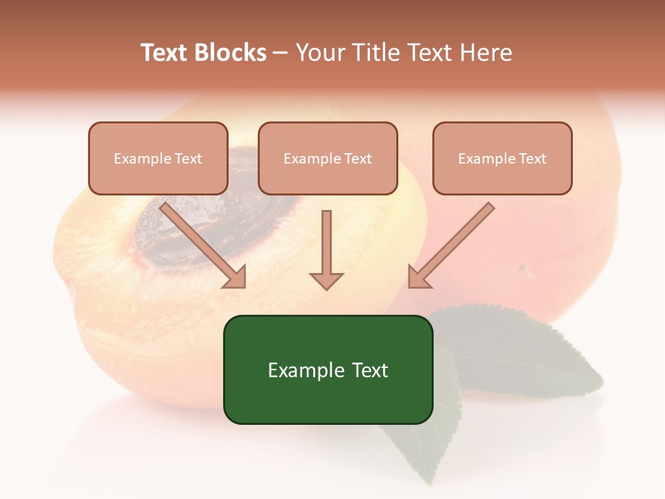 Composition Fruit Plant PowerPoint Template