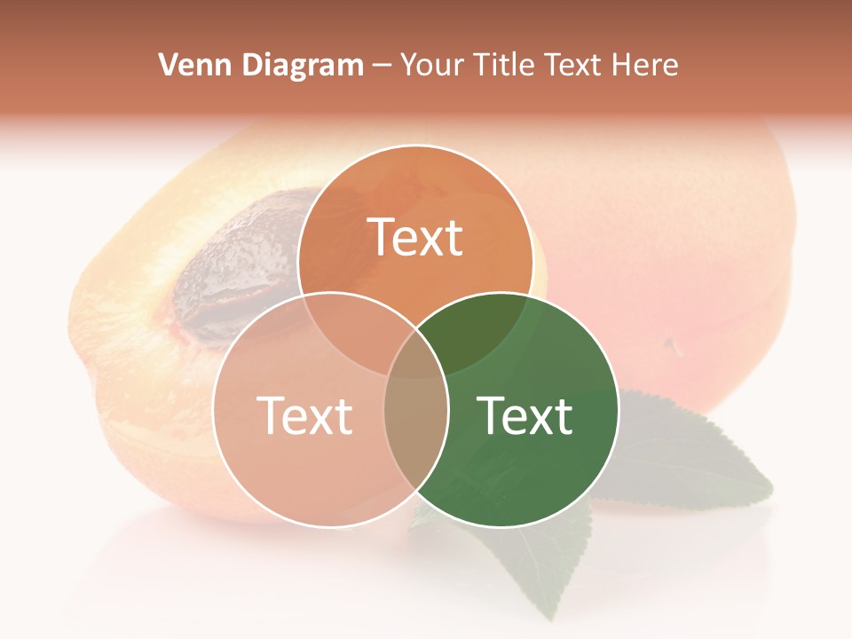 Composition Fruit Plant PowerPoint Template