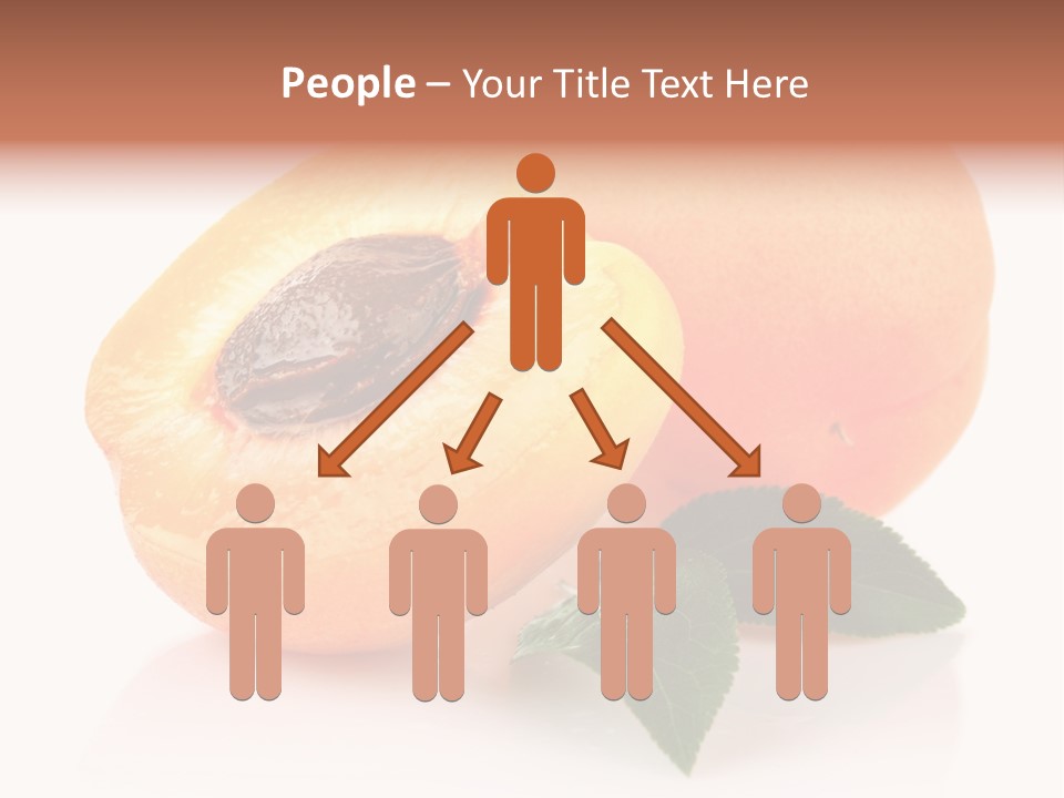 Composition Fruit Plant PowerPoint Template