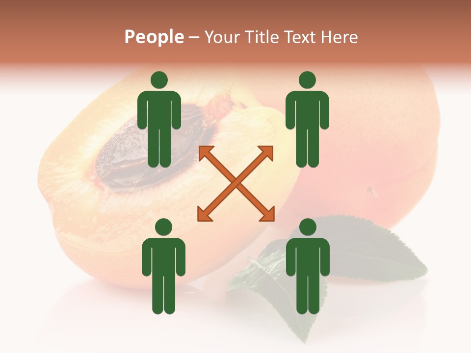 Composition Fruit Plant PowerPoint Template