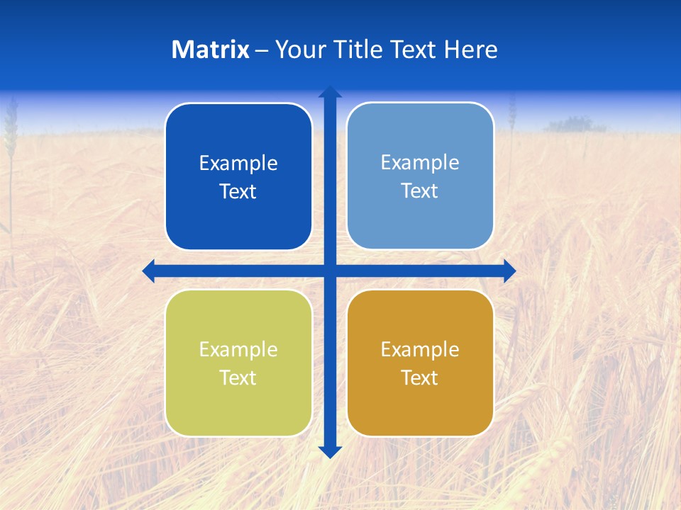 Processed Grains Seed Whole Wheat PowerPoint Template